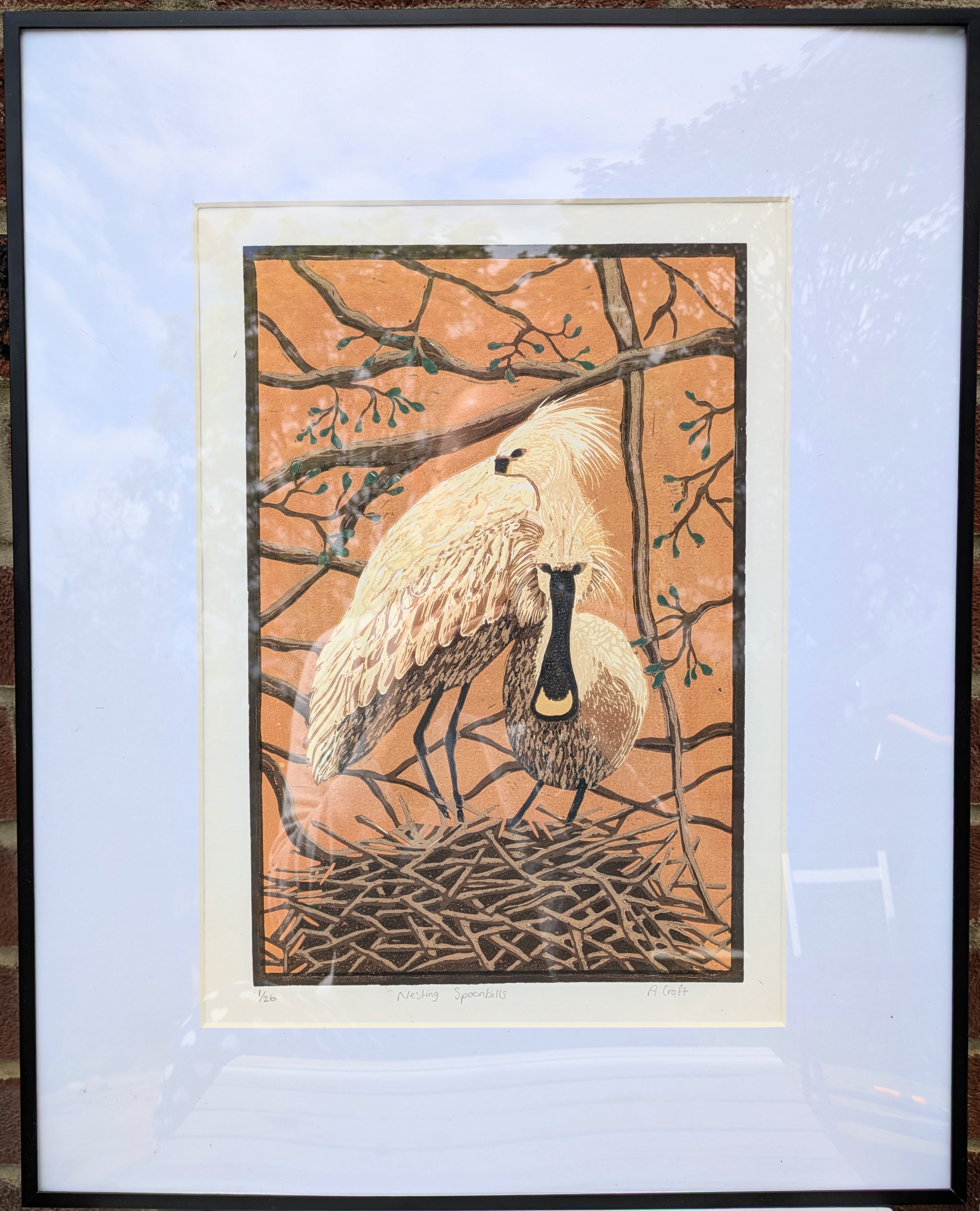 spoonbillone
