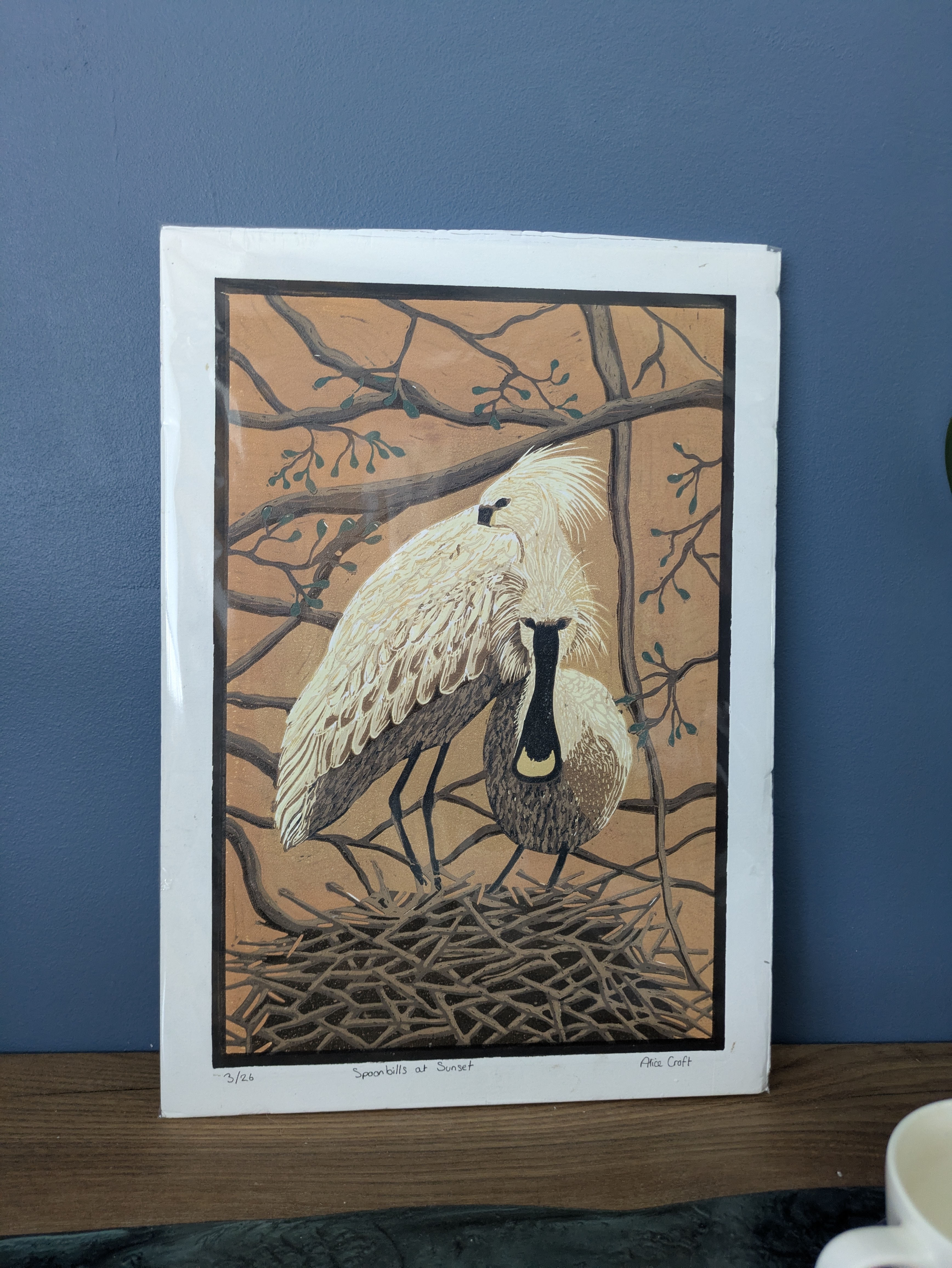 spoonbilltwo